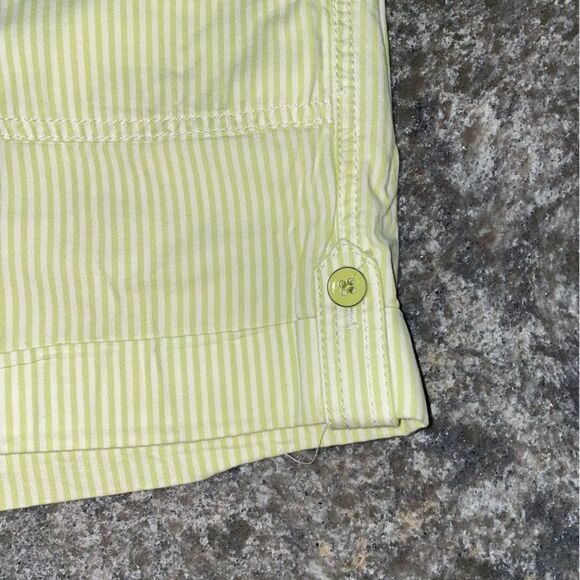 Ann Taylor Loft Womens Cotton Striped Mid Rise Shorts Green White Size 16 - Picture 2 of 8